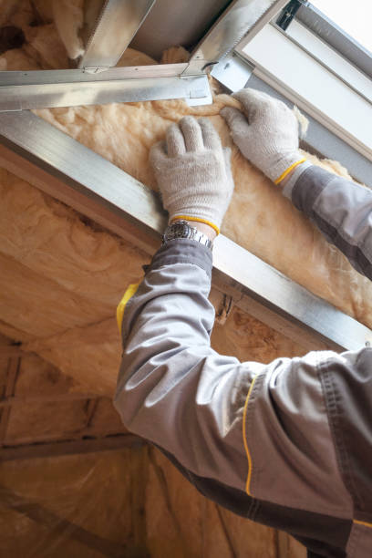 Garage Insulation Installation in Taylor, AL