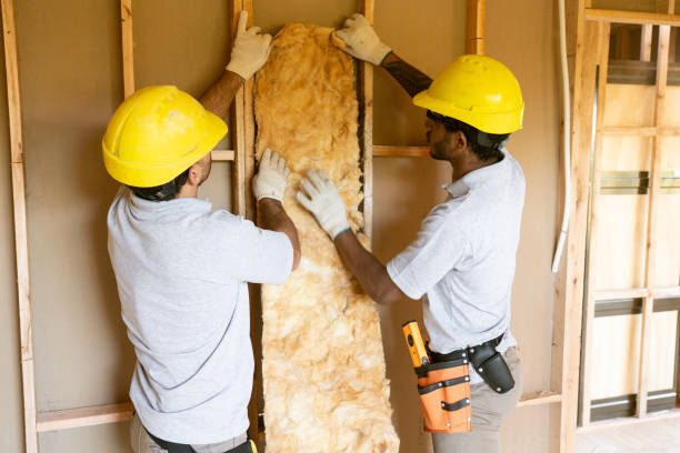 Trusted Taylor, AL Insulation Contractor Experts